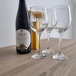 Ritosa Apartment Novigrad Istria