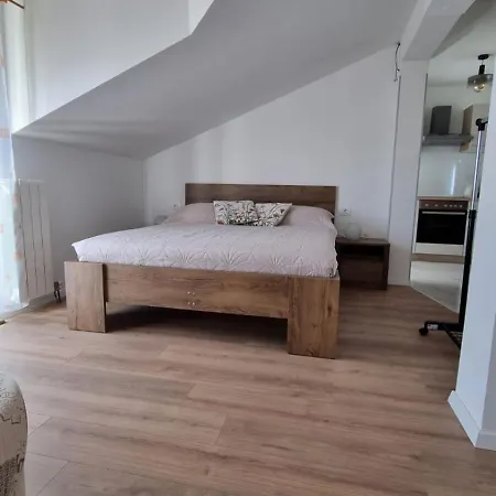 Ritosa Novigrad Istria