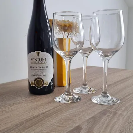 Ritosa Apartmán Novigrad Istria