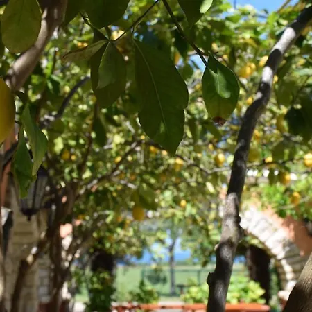 Ritosa Apartment Novigrad Istria