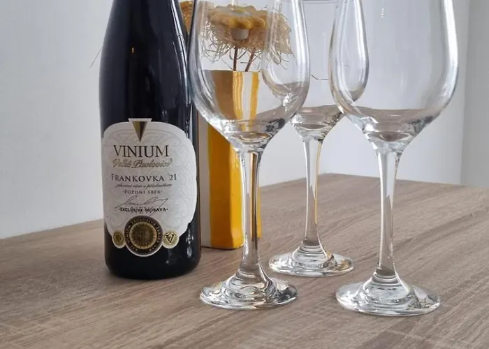 Ritosa Apartment Novigrad Istria