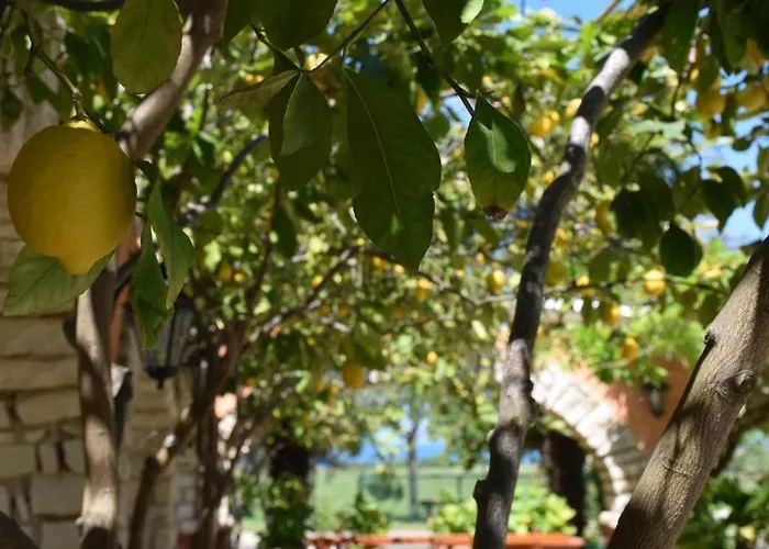 Ritosa Apartment Novigrad Istria