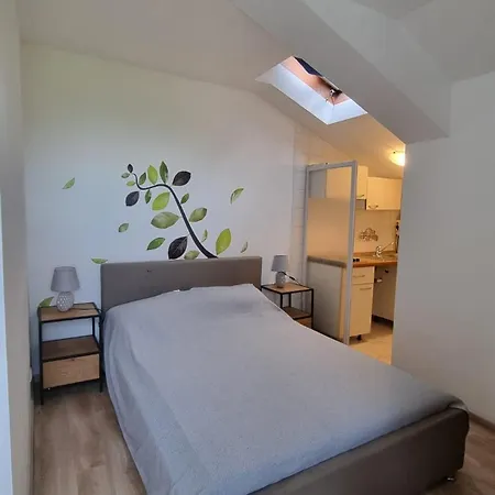 Ritosa Novigrad Istria